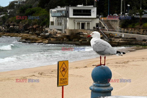 Zamknięta plaża w Sydney