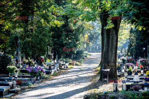 Cmentarze przed dniem Wszystkich Świętych