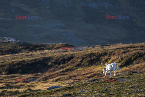 Norwegia turystycznie - Nur Photo