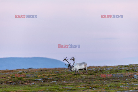 Norwegia turystycznie - Nur Photo