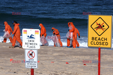 Zamknięta plaża w Sydney