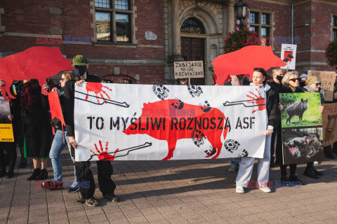 Gdański protest w obronie dzików