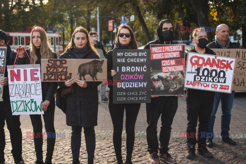 Gdański protest w obronie dzików