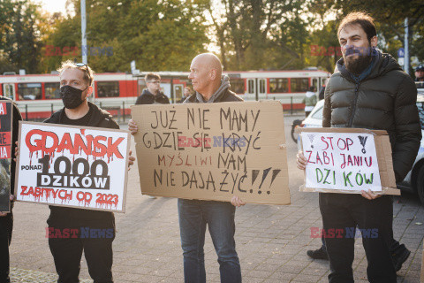 Gdański protest w obronie dzików