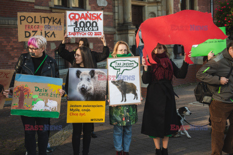 Gdański protest w obronie dzików