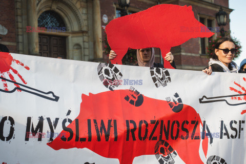 Gdański protest w obronie dzików