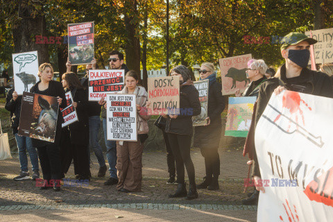 Gdański protest w obronie dzików