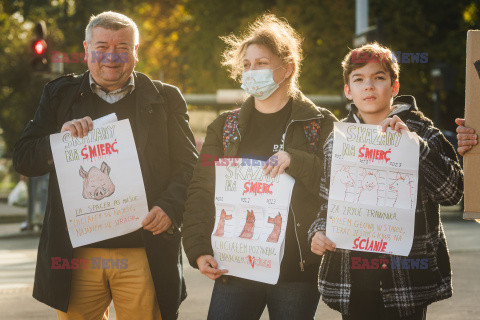 Gdański protest w obronie dzików