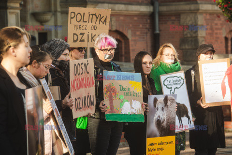 Gdański protest w obronie dzików