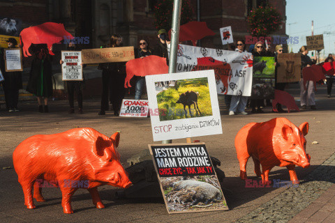 Gdański protest w obronie dzików