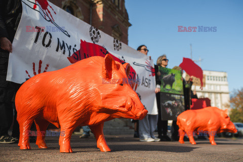 Gdański protest w obronie dzików