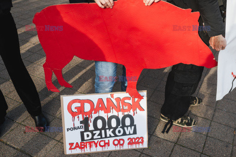 Gdański protest w obronie dzików