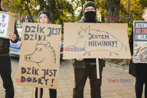 Gdański protest w obronie dzików