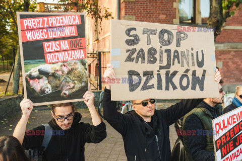 Gdański protest w obronie dzików