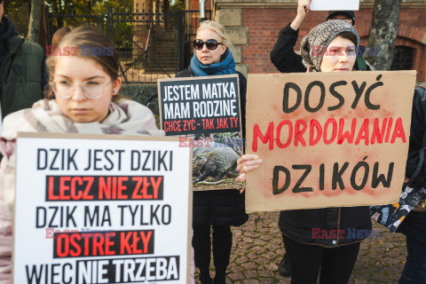 Gdański protest w obronie dzików