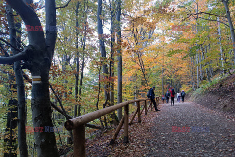 Bieszczady jesienią