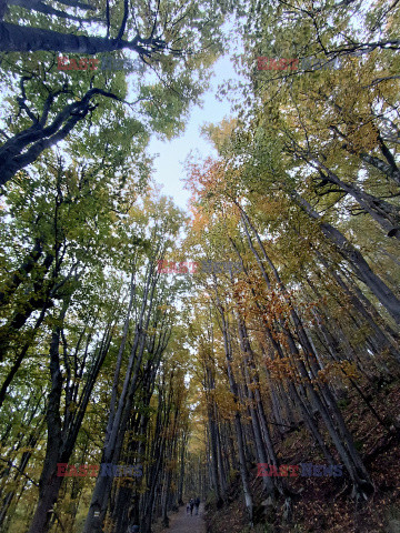 Bieszczady jesienią