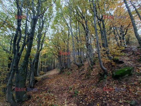 Bieszczady jesienią