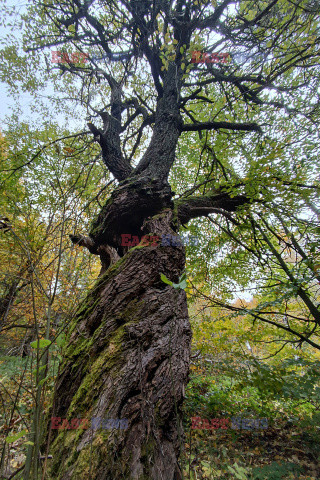 Bieszczady jesienią