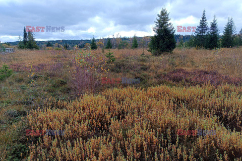 Bieszczady jesienią