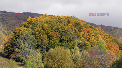 Bieszczady jesienią