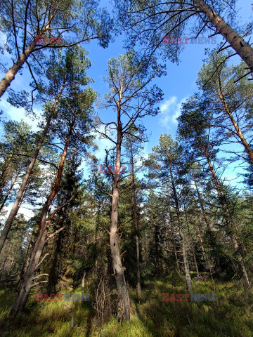 Bieszczady jesienią