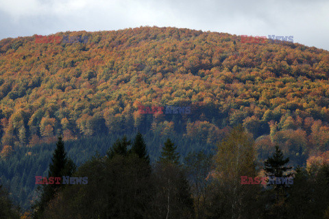 Bieszczady jesienią