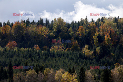 Bieszczady jesienią