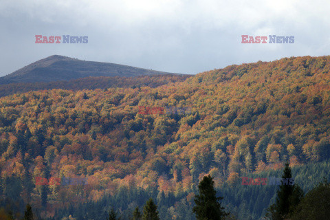 Bieszczady jesienią