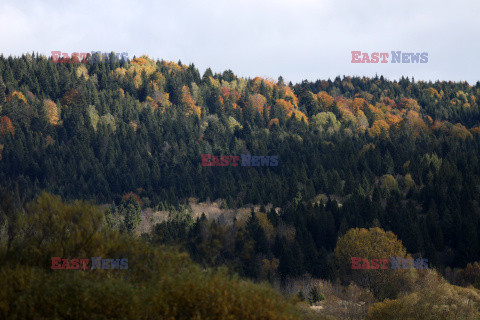 Bieszczady jesienią