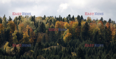 Bieszczady jesienią