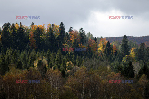 Bieszczady jesienią