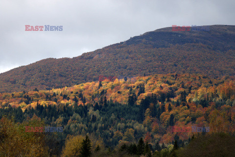 Bieszczady jesienią