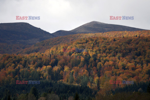 Bieszczady jesienią