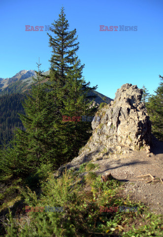 Polskie Tatry Albin Marciniak