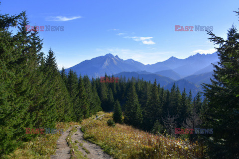 Polskie Tatry Albin Marciniak