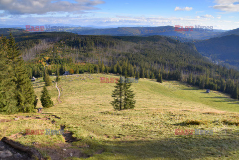 Polskie Tatry Albin Marciniak