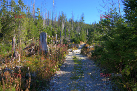 Polskie Tatry Albin Marciniak