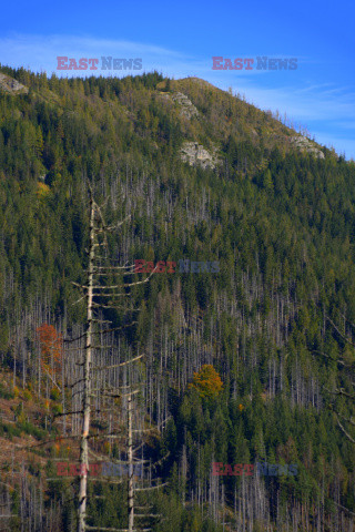 Polskie Tatry Albin Marciniak