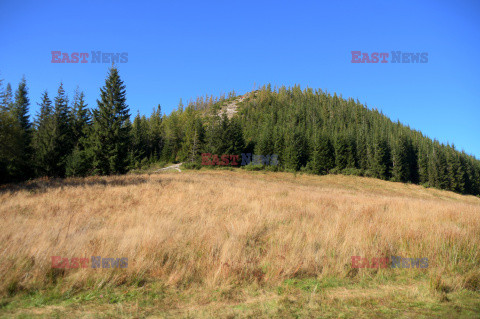 Polskie Tatry Albin Marciniak