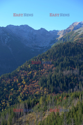 Polskie Tatry Albin Marciniak