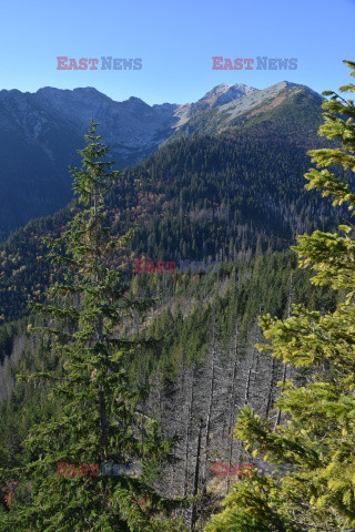 Polskie Tatry Albin Marciniak