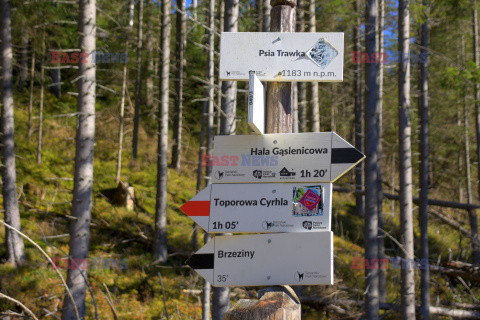 Polskie Tatry Albin Marciniak