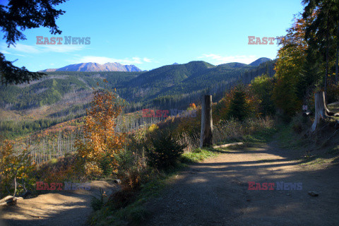 Polskie Tatry Albin Marciniak