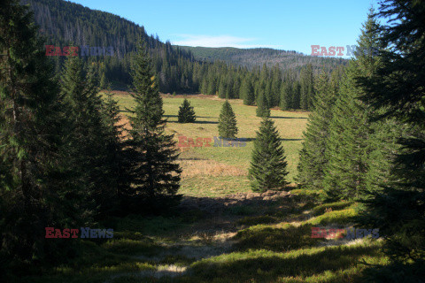 Polskie Tatry Albin Marciniak