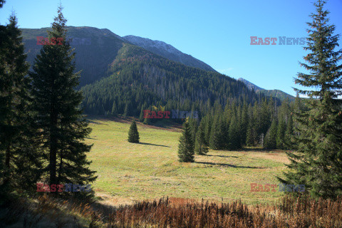 Polskie Tatry Albin Marciniak