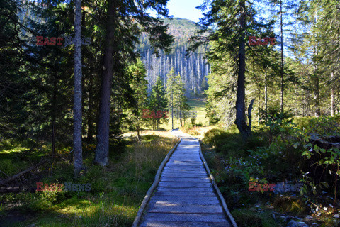 Polskie Tatry Albin Marciniak