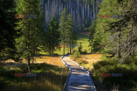 Polskie Tatry Albin Marciniak