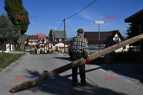 Redyki w Polsce - AFP