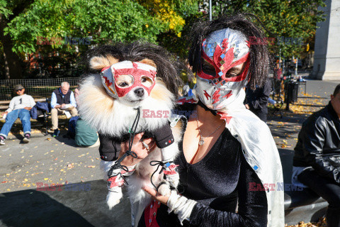 Halloweenowa parada psów